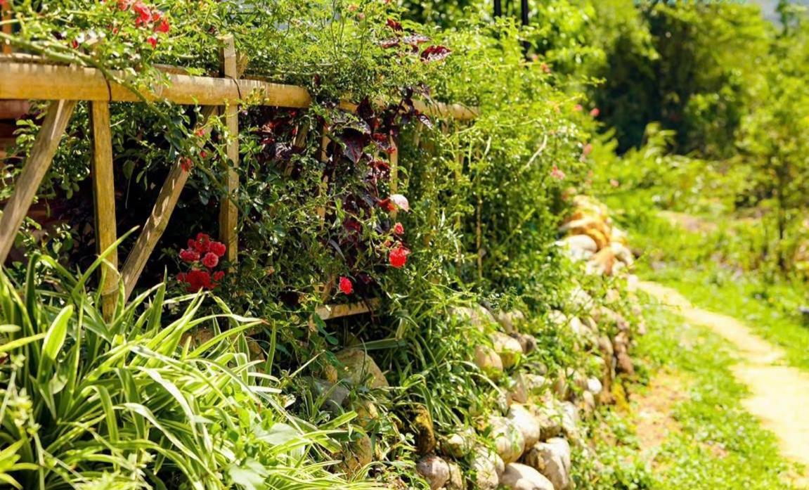 Sapafamily Eco Villa Eksteriør billede